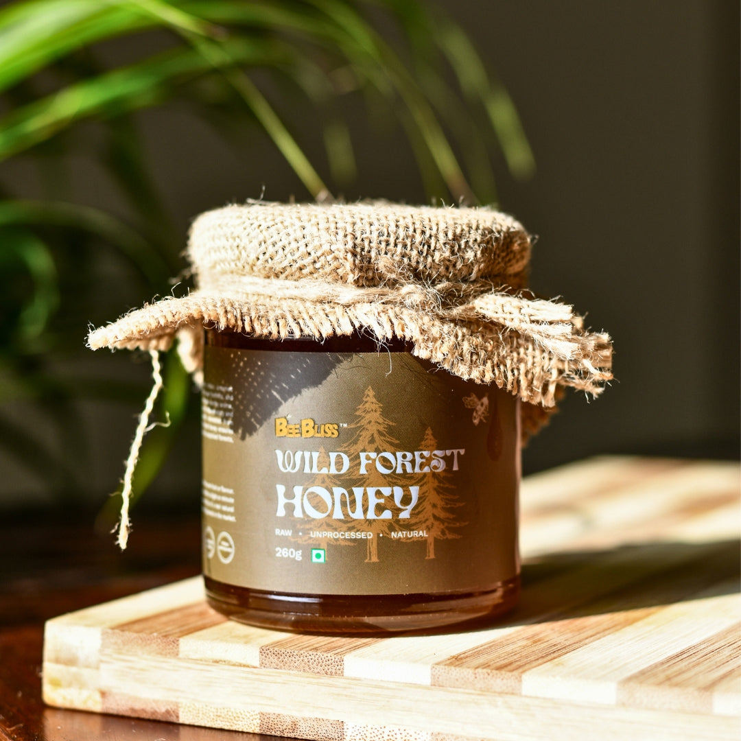 Wild Forest Honey + Wild Forest Honey 260 GM + 260 GM (Pack of 2)